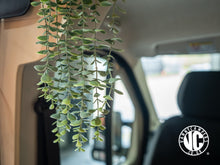 Load image into Gallery viewer, Alma Prize Draw Ticket
